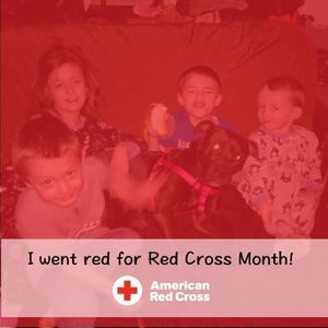 Meet your Posher, Lee